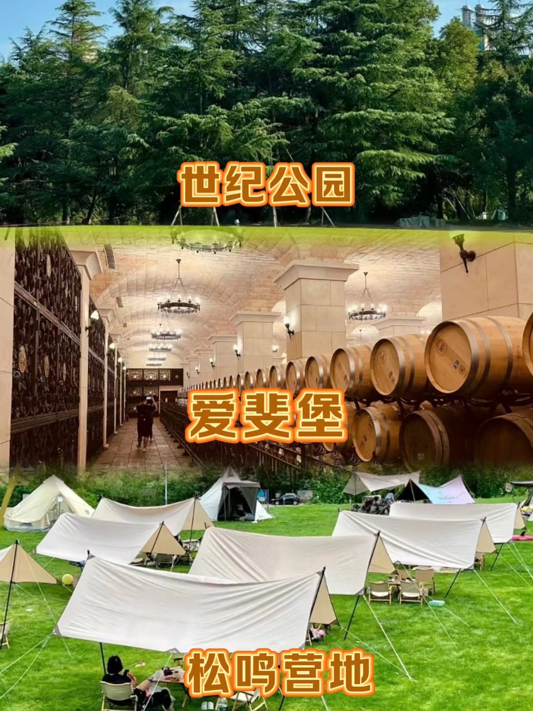 微信图片_20250307091902.jpg